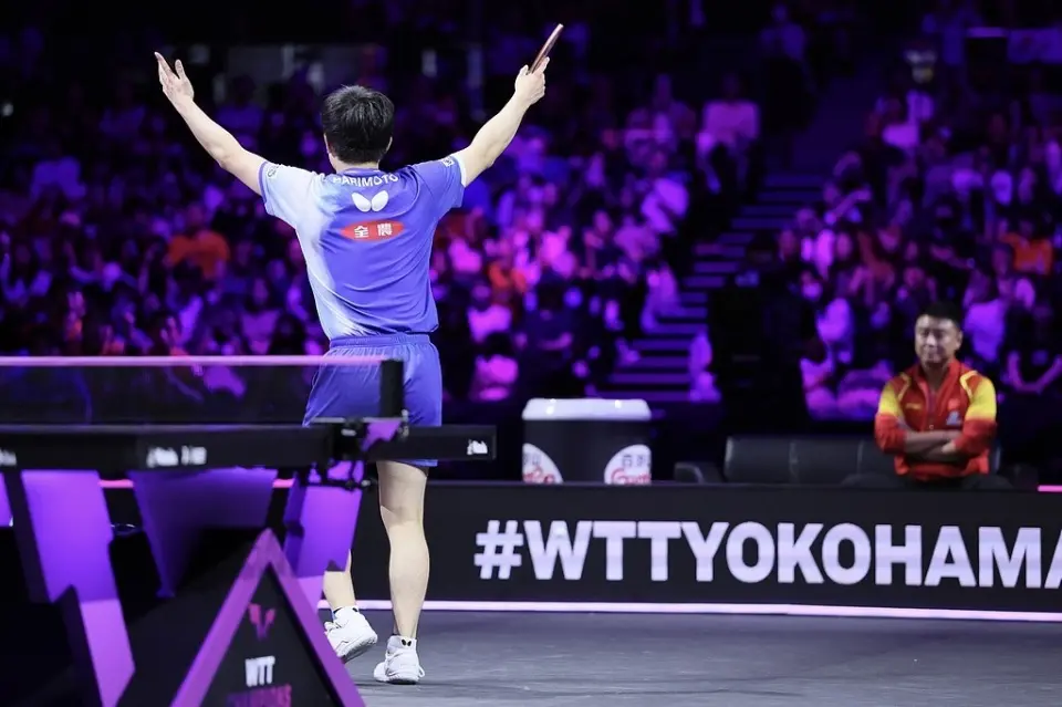 智和的握手, 他总这样, WTT横滨 智和的握手, 他总这样, WTT横滨