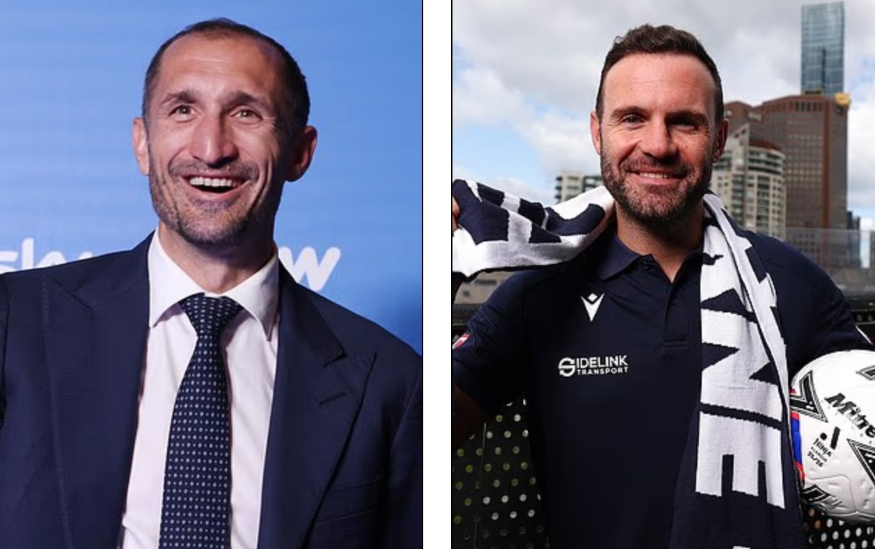 msn, 力于西悉尼, 色的人 msn, 力于西悉尼, 色的人